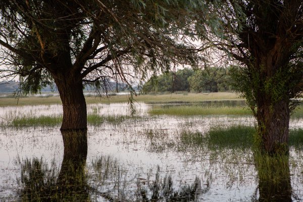 Alternatives-to-ManyVids