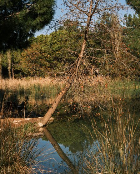 Alternatives-to-ManyVids