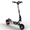 Vinilo Kukirin G4 DUCATI Corse Black